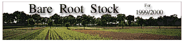 Bare Root Stock 1999/2000